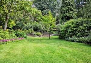 Optimiser l'expérience du jardin à Montdragon